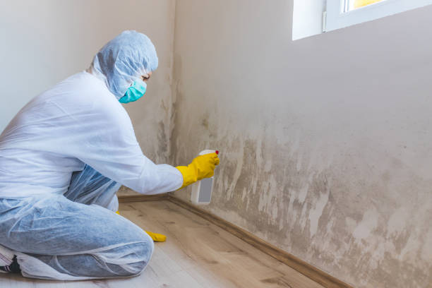 Hvac And Air Duct Mold Remediation inspection of HVAC system in Mount Airy